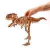 Velociraptor Grande con Color - Imagen 8