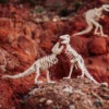 Tyranosaurio rex pareja - Imagen 2