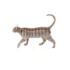 Gato caminando - Imagen 4